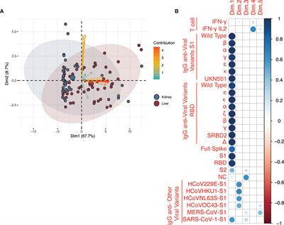 Differences in Humoral and Cellular Vaccine Responses to SARS-CoV-2 in Kidney and Liver Transplant Recipients